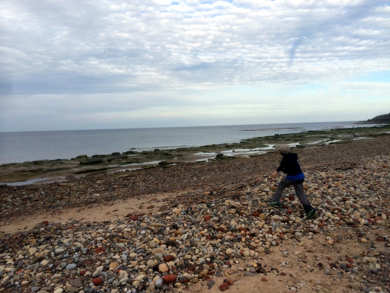 throwing rocks