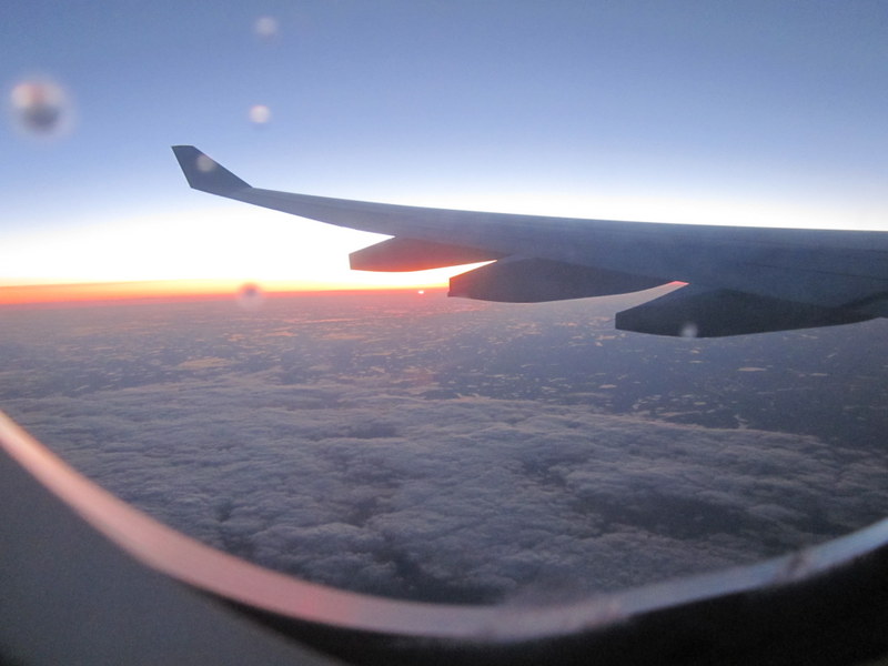 take to wing