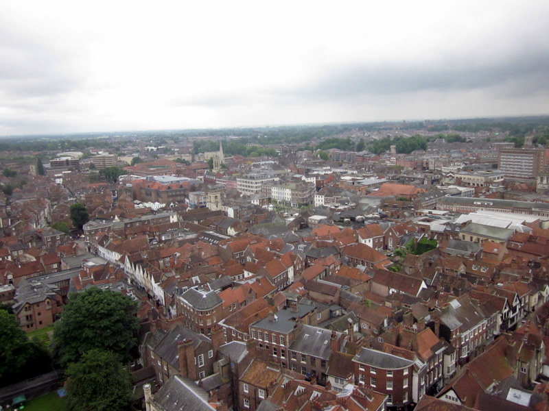 view